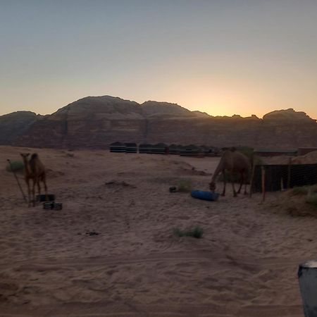 瓦迪拉姆 Bedouin Host Camp& With Tour酒店 外观 照片