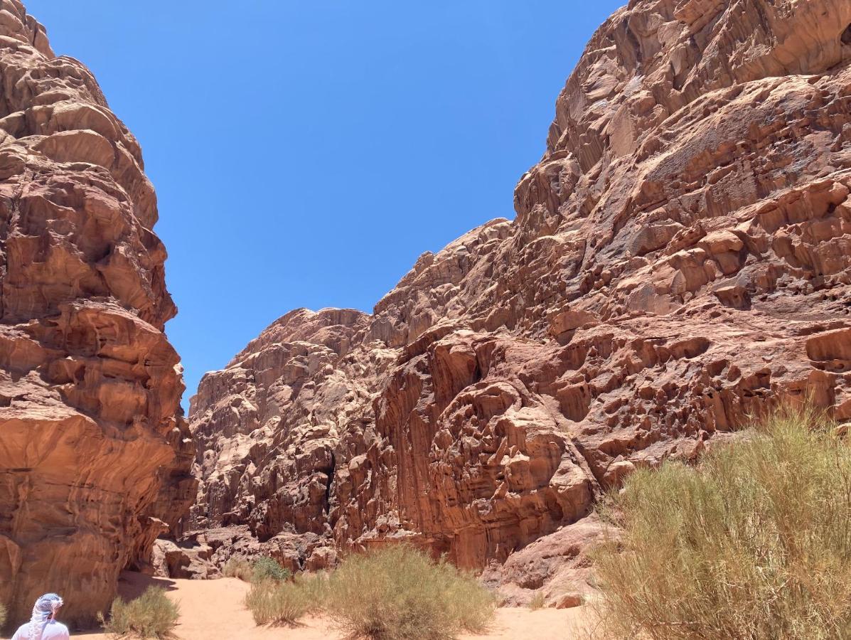 瓦迪拉姆 Bedouin Host Camp& With Tour酒店 外观 照片