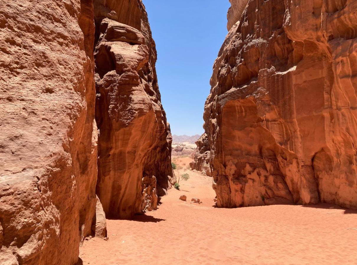 瓦迪拉姆 Bedouin Host Camp& With Tour酒店 外观 照片
