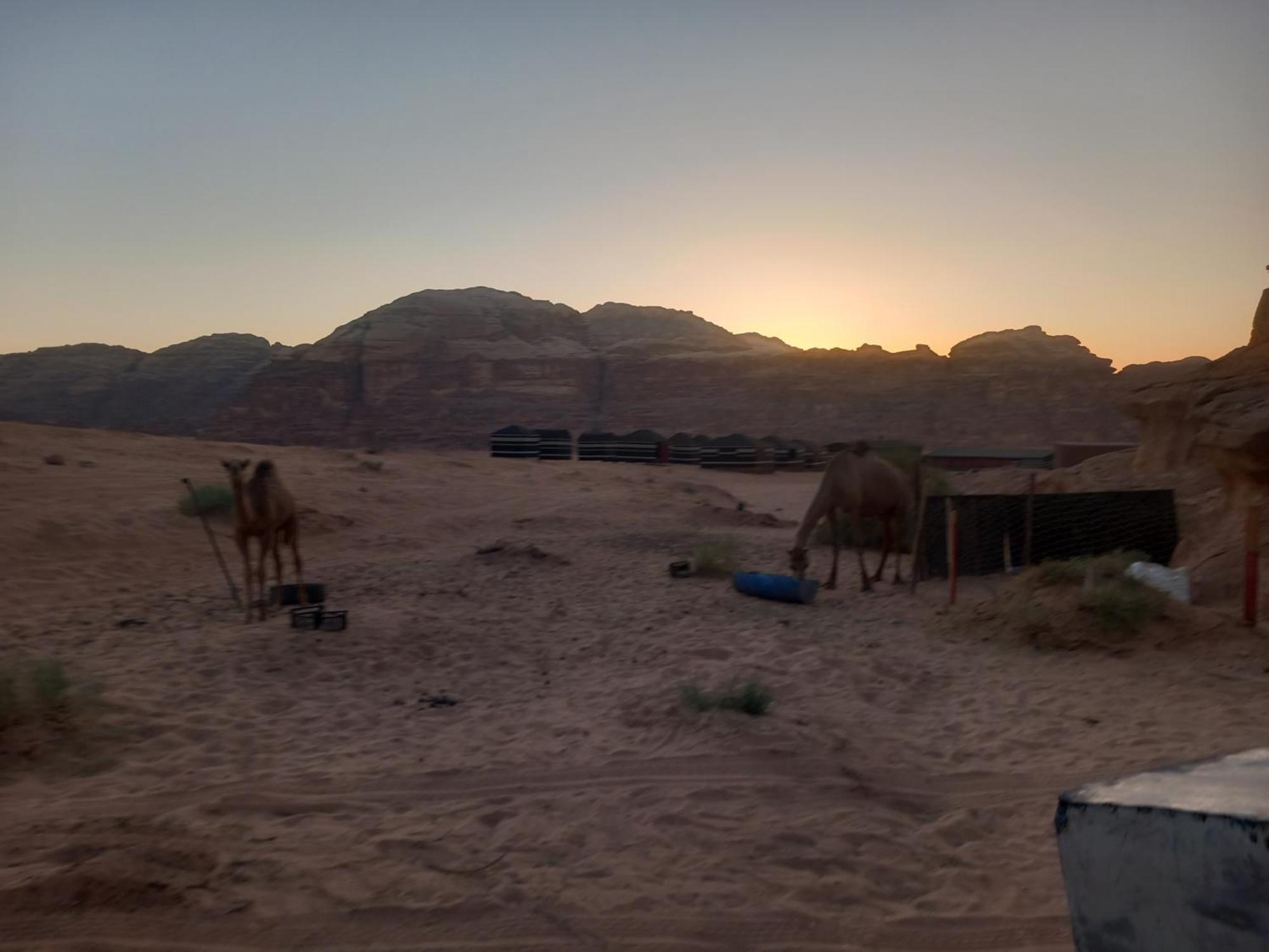 瓦迪拉姆 Bedouin Host Camp& With Tour酒店 外观 照片